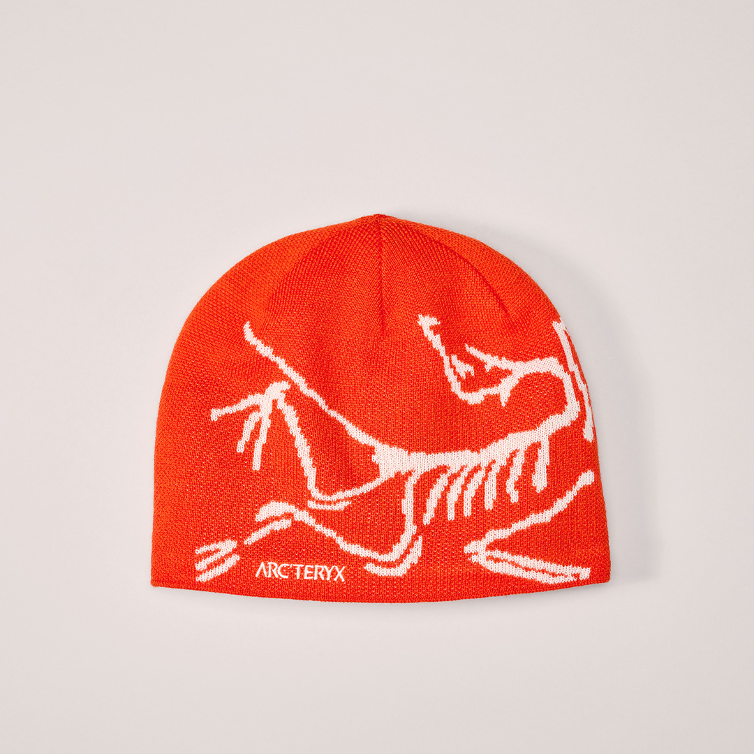 Skeleton Beanie