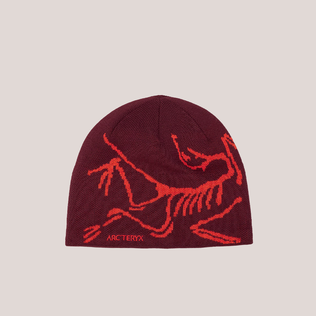 Skeleton Beanie