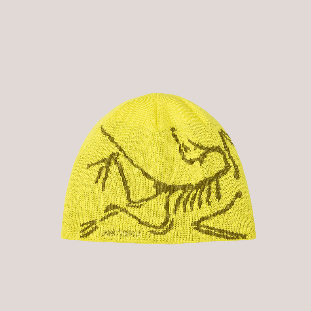 Skeleton Beanie
